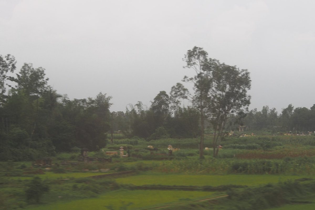Hanoi to Hue Train: Tickets, Cabins & Full Guide