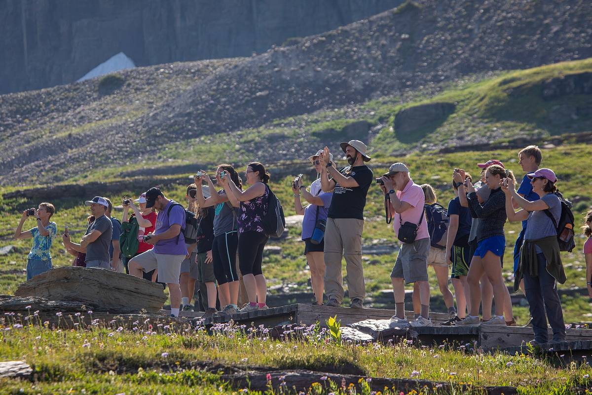 Beyond the Map: Finding Beauty in Hidden Hiking Trails