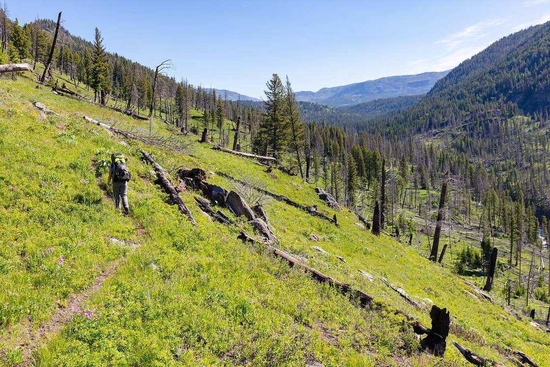 How to Choose a Hiking Backpack for Multi-Day Treks