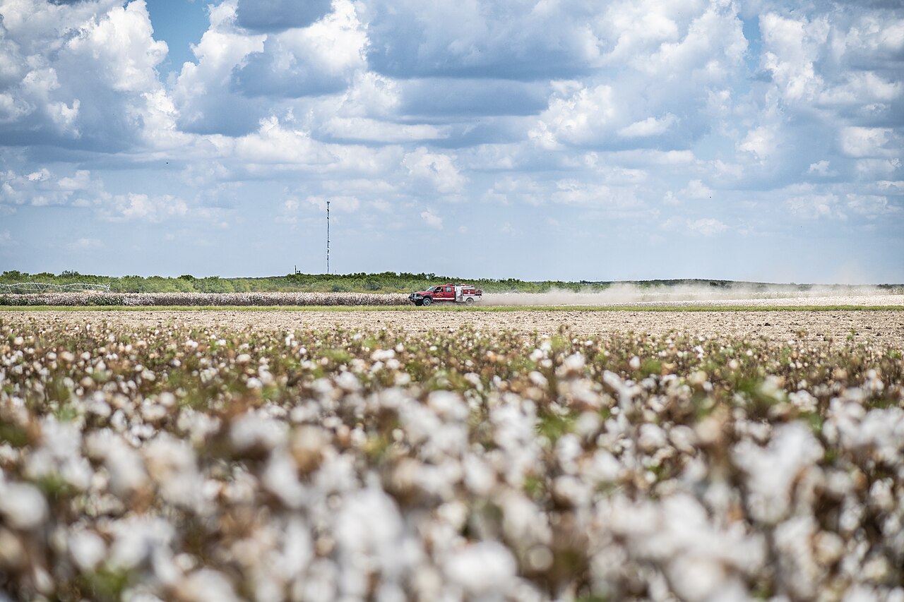 Harvest (20200823-NRCS-LSC-0639)