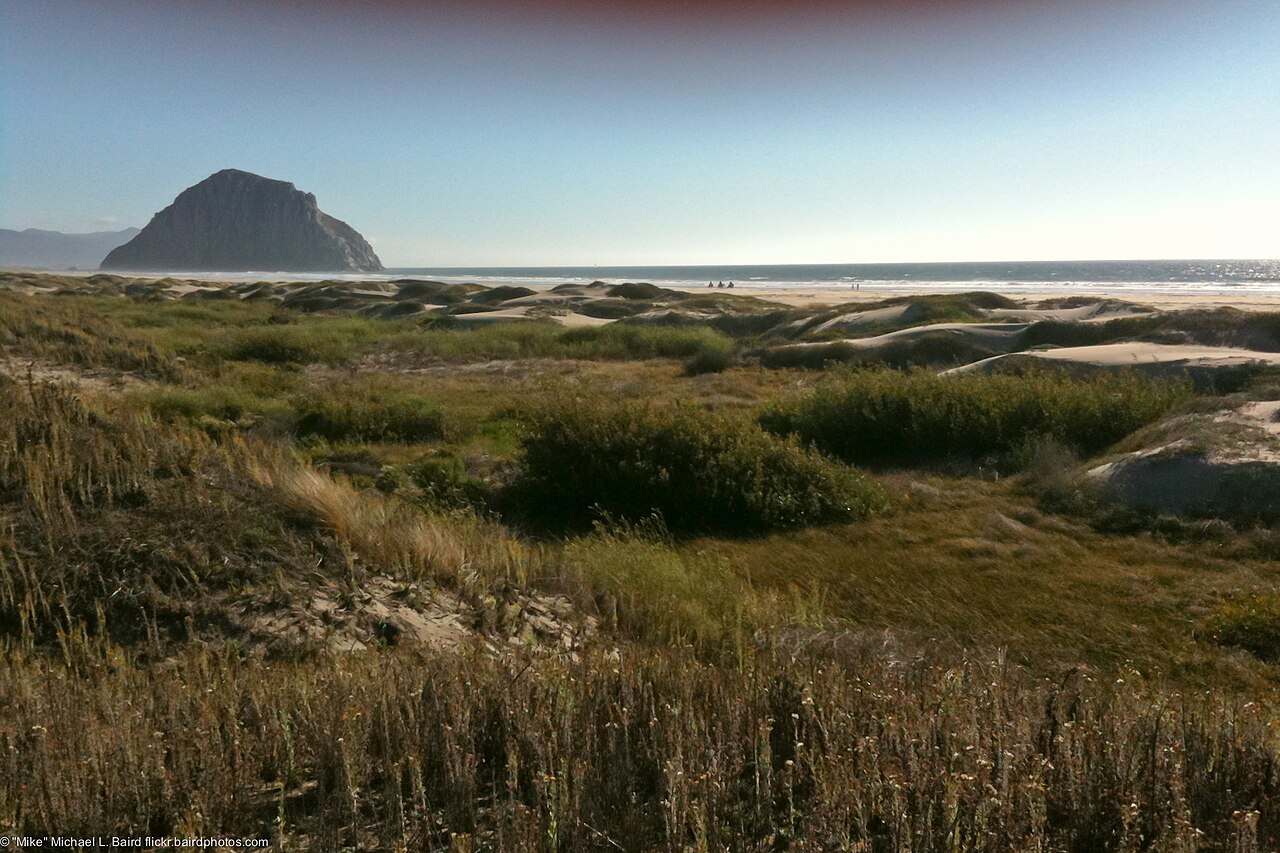 Morro Strand State Beach (1)