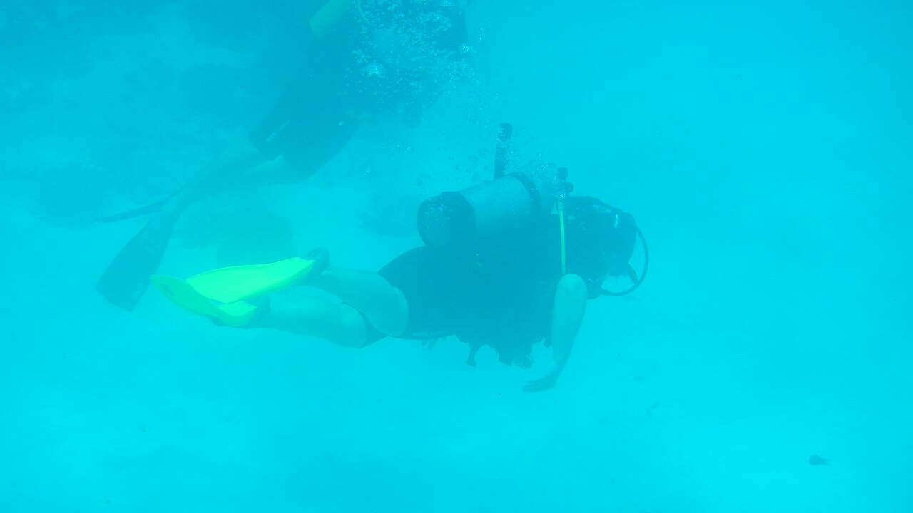 Agincourt Reef, Great Barrier Reef, Queensland (483751) (9440724135)