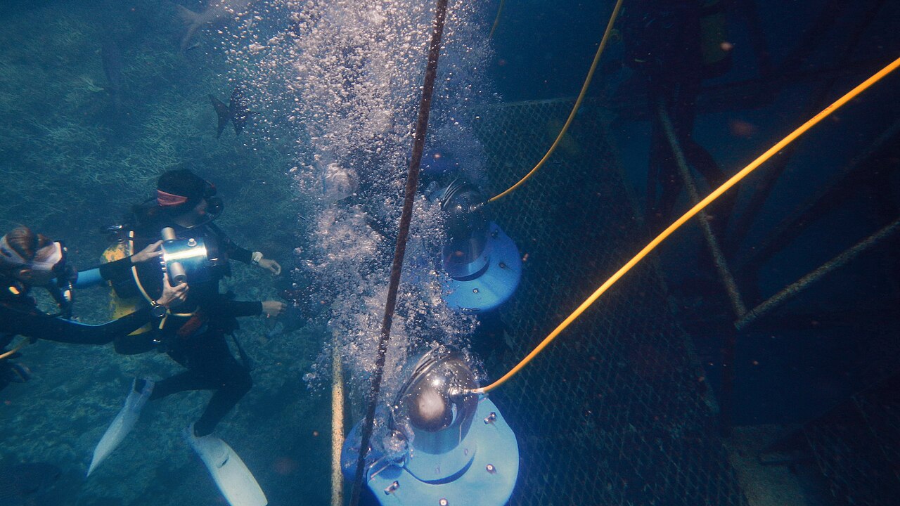 Agincourt Reef, Great Barrier Reef, Queensland (483764) (9443525586)
