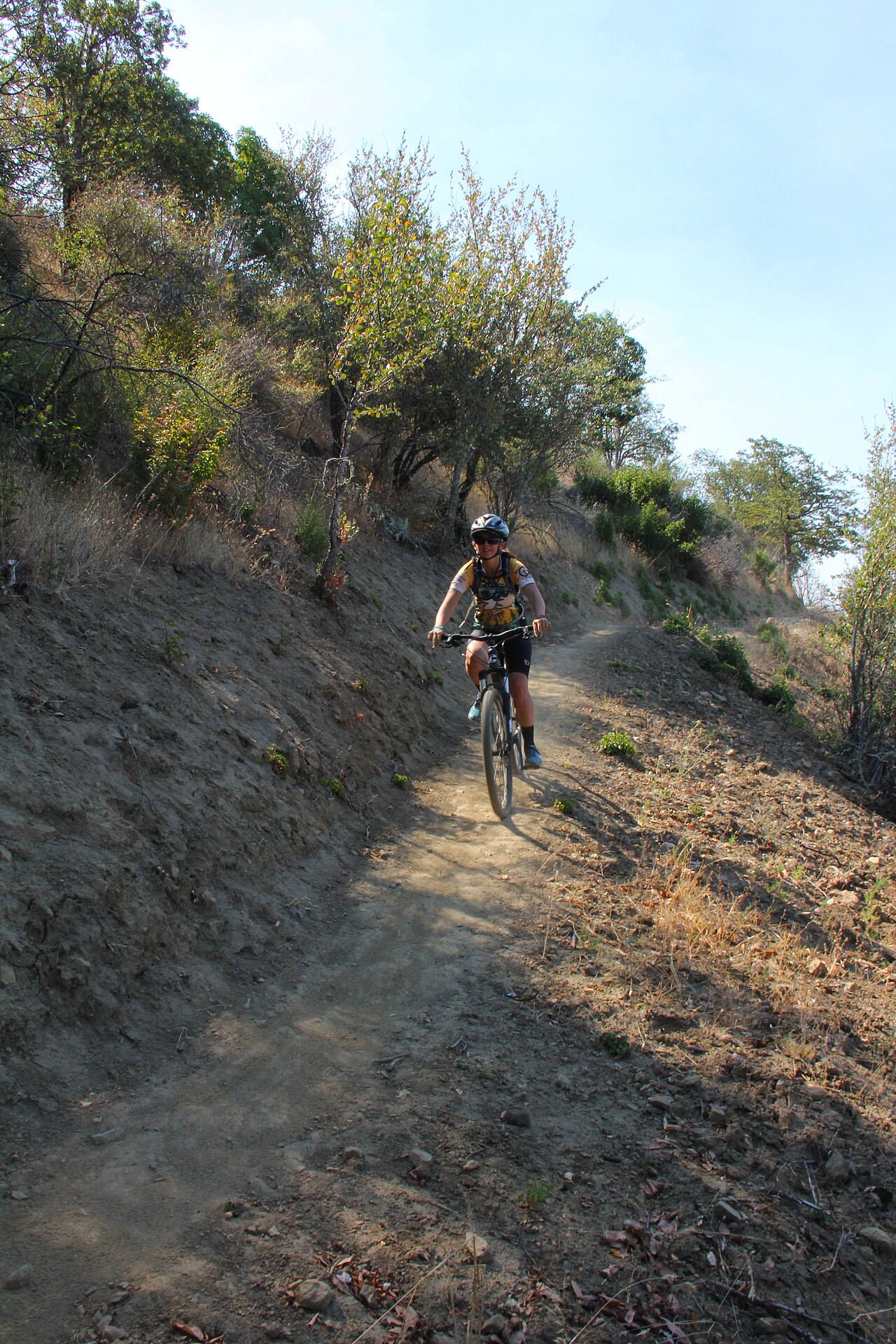 Mountain of the Rogue Trail System (32228873154)