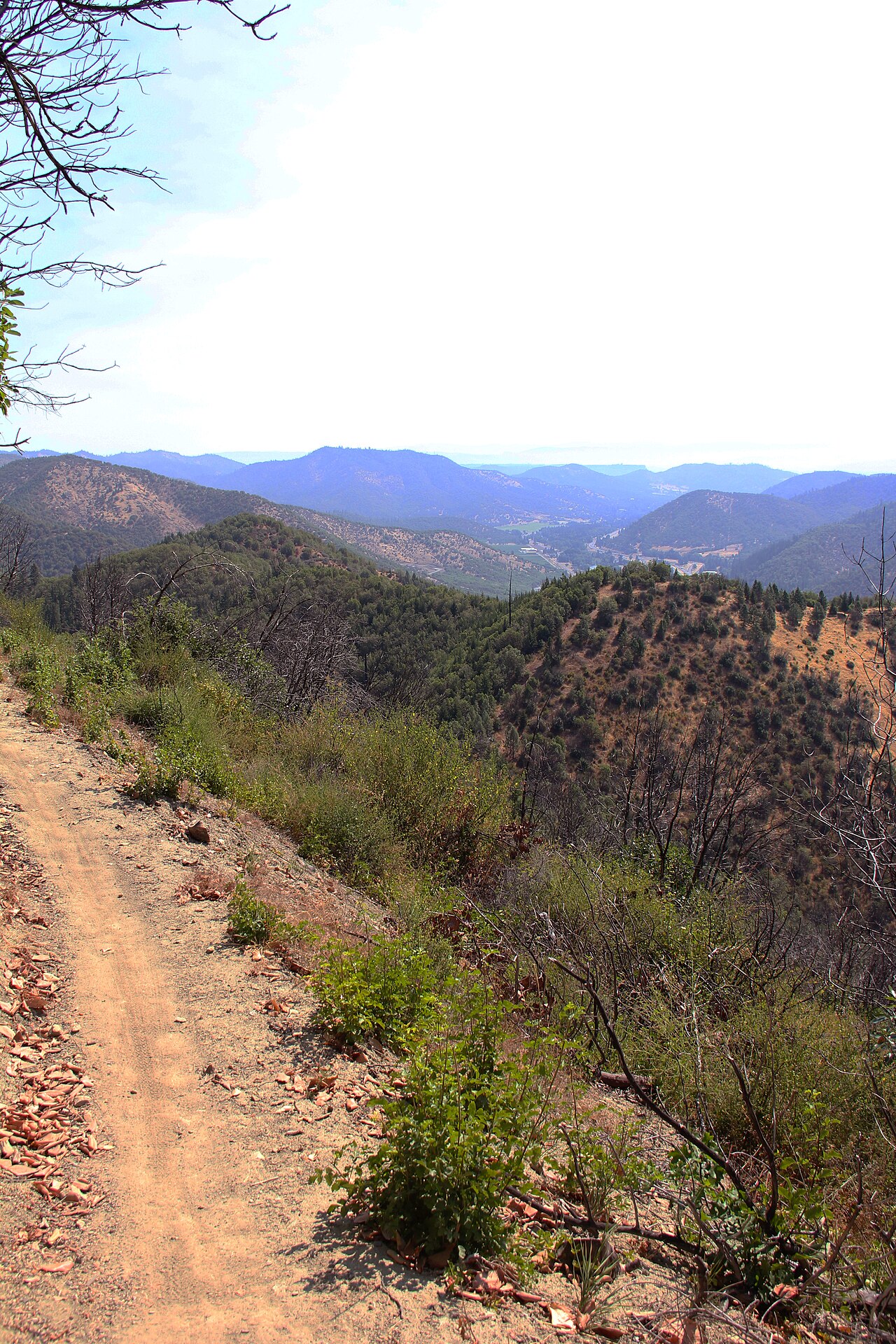 Mountain of the Rogue Trail System (32258785163)