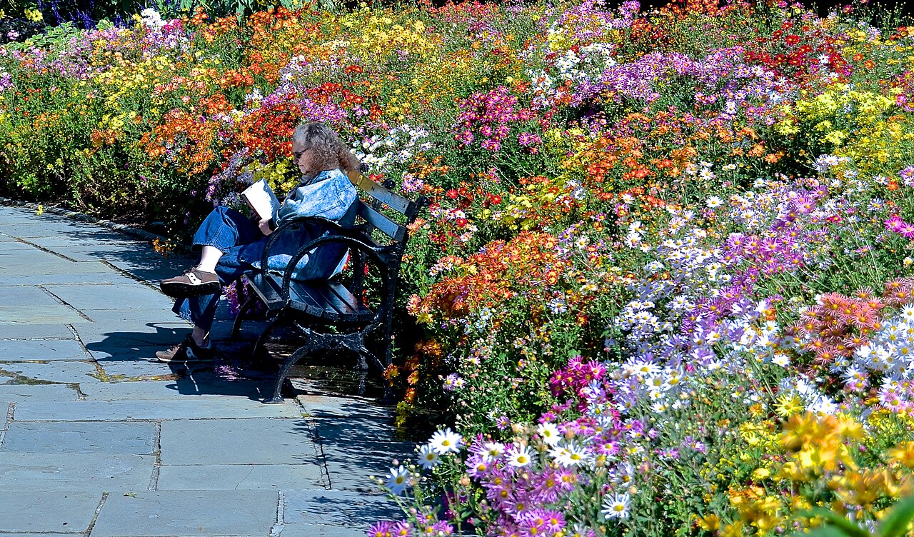 Reading in the garden, (15468717167)