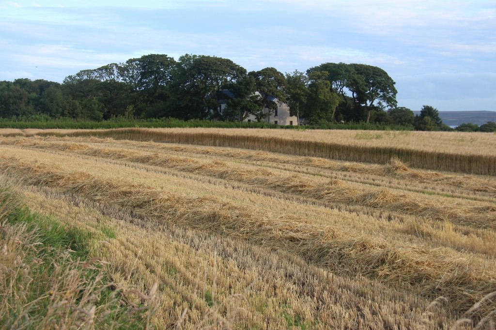 Cereal harvest at Garth, Castletown - geograph.org.uk - 5538379