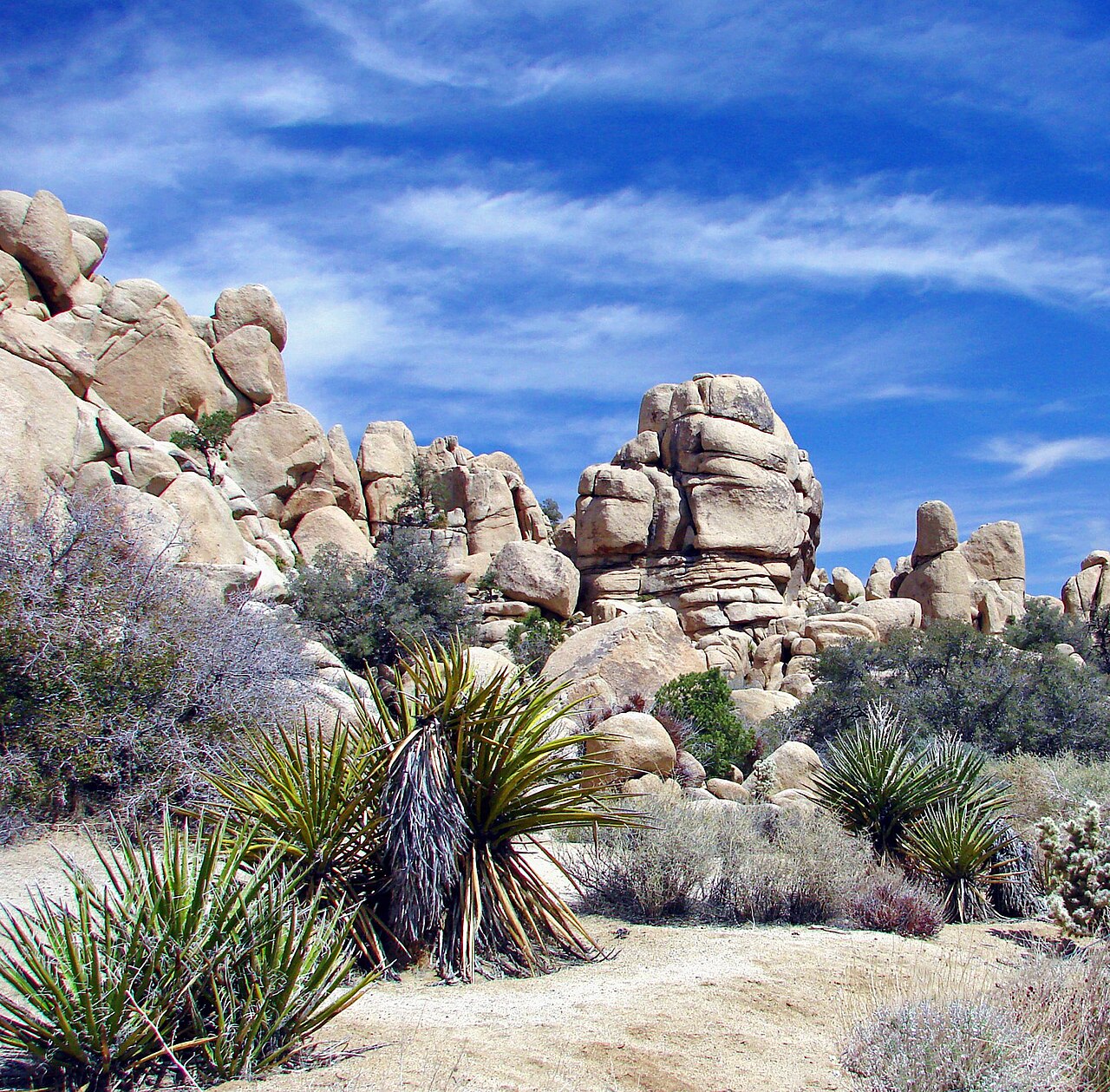 Desert Sky, Joshua Tree NP 4-13 (31141402630)
