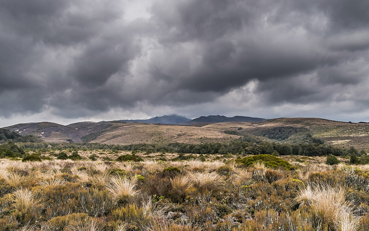 Landscape in Tongariro National Park 07