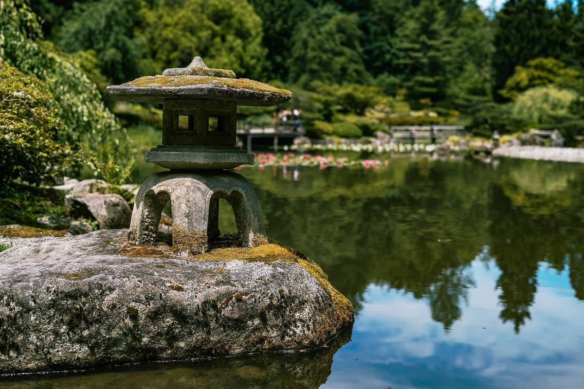 Was June the Right Time? An Honest Japan Reflection