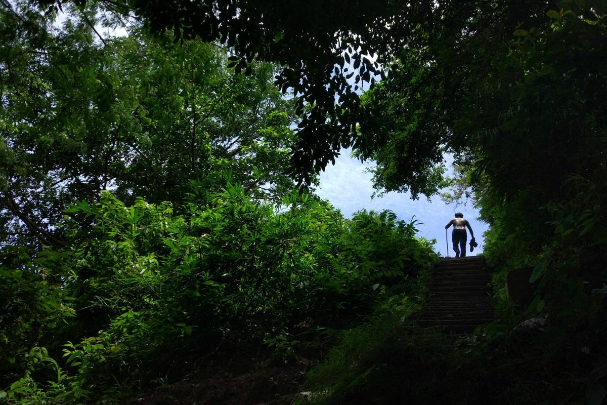 Seasonal Nature Travel: A Global Guide to Natural Wonders