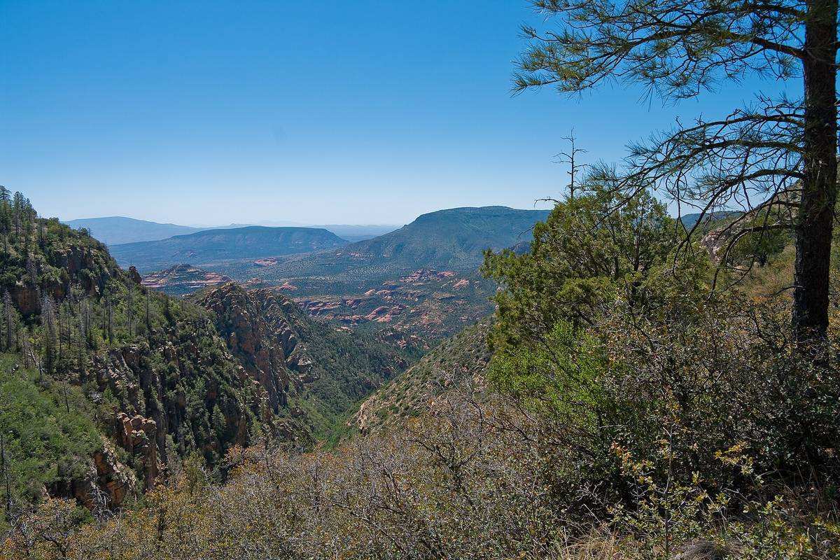Beyond the Map: How I Found a Secret Mountain Trail