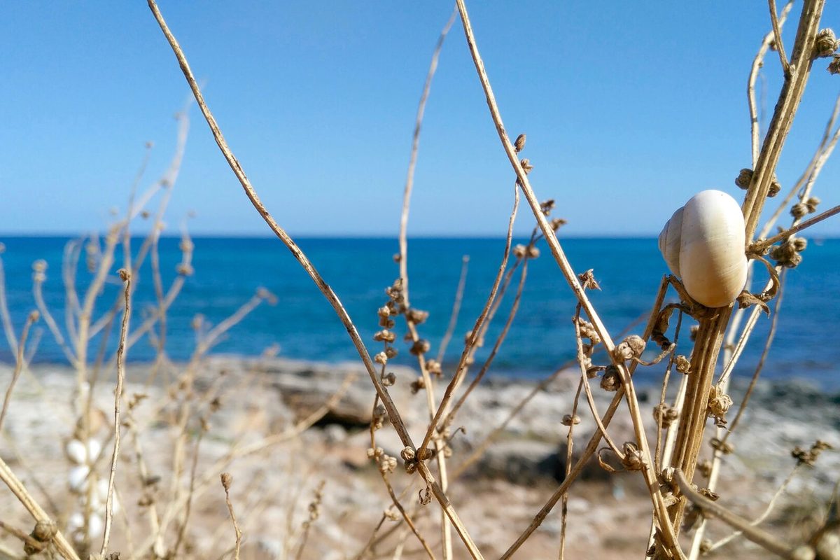The Art of Silence: Living in a Forgotten Fishing Village